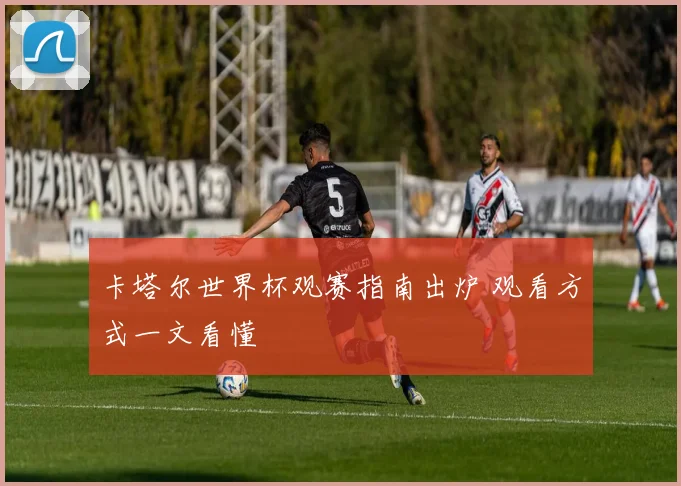 卡塔尔世界杯观赛指南出炉 观看方式一文看懂